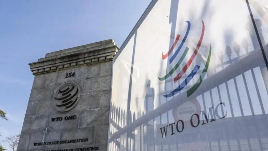 中方在世贸组织呼吁加强贸易措施监督 提升贸易政策透明度
