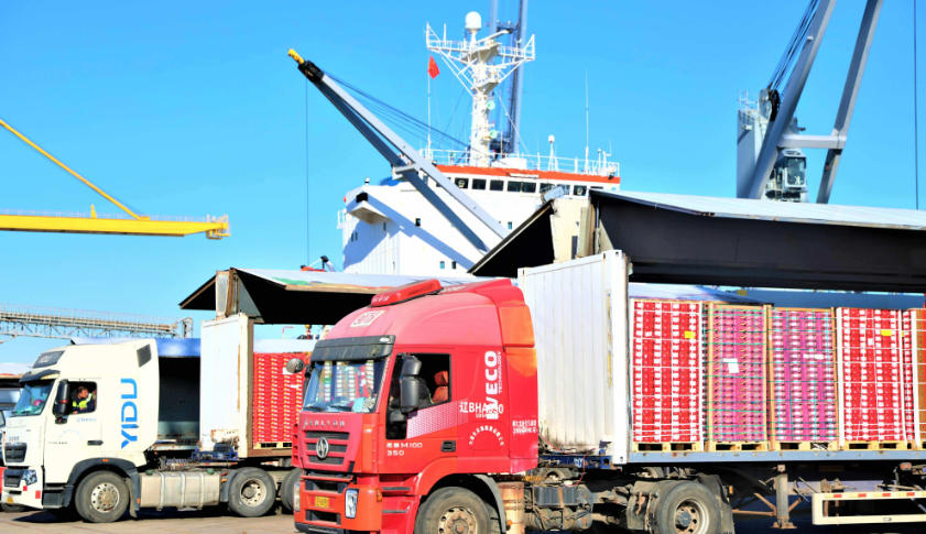 2026年春节前预计超25万吨智利樱桃经上海口岸进入中国市场